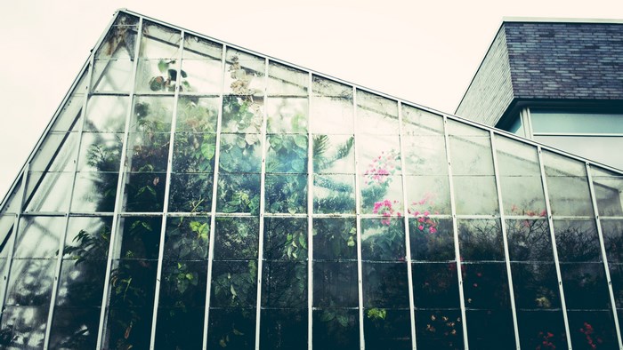Greenhouse with plants and flowers