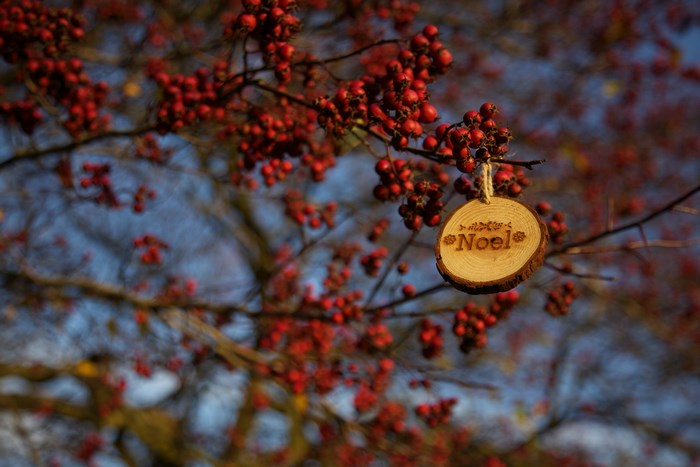 Wooden Noel decoration hanging on a branch with red berries