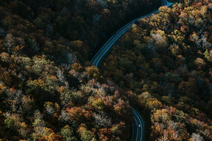 Winding road through autumn forest in North Carolina