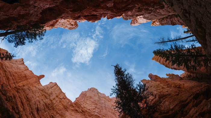 Bryce Canyon National Park looking up at the sky