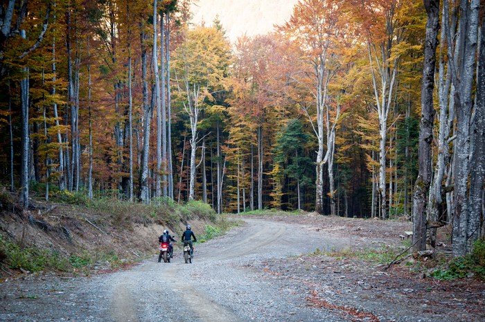 Two Motorcyclists Riding Through Autumn Forest Path