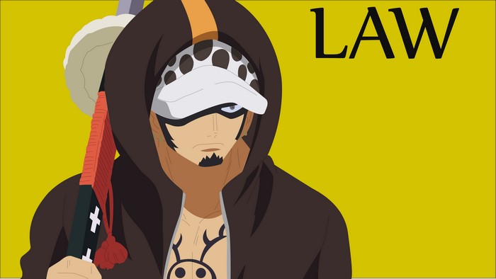 Trafalgar Law in Hooded Outfit from One Piece