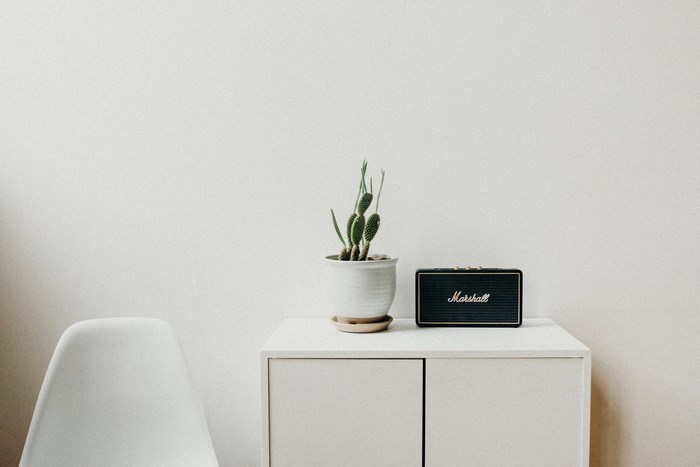 Marshall speaker and cactus on a white cupboard