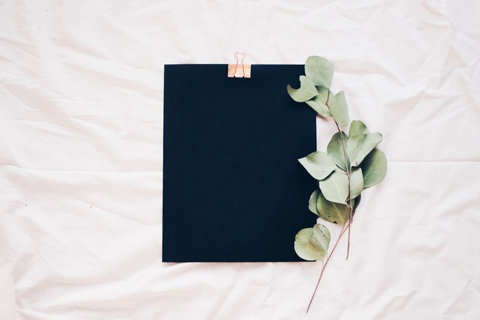 Black paper with eucalyptus leaves and binder clip