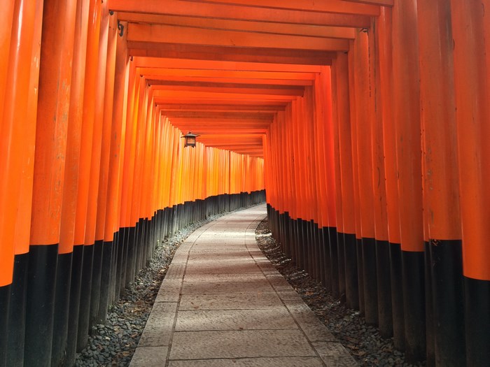 Orange Torii Gates Pathway in Kyoto, Japan