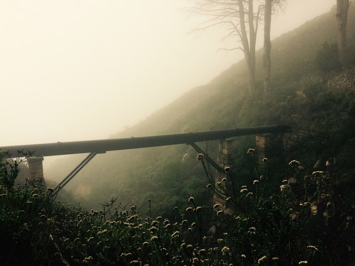 Pipe crossing a misty valley with trees and flowers