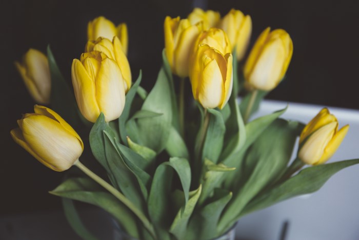 A bouquet of yellow tulips with green leaves