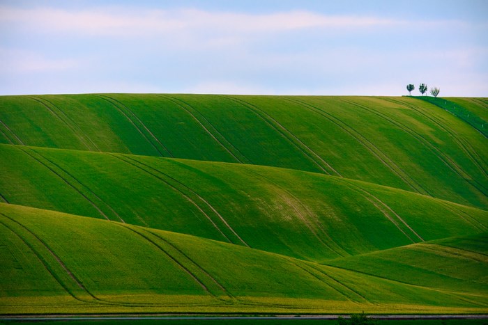 Rolling green hills with trees under a blue sky