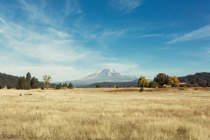 Mountain landscape with a field and trees