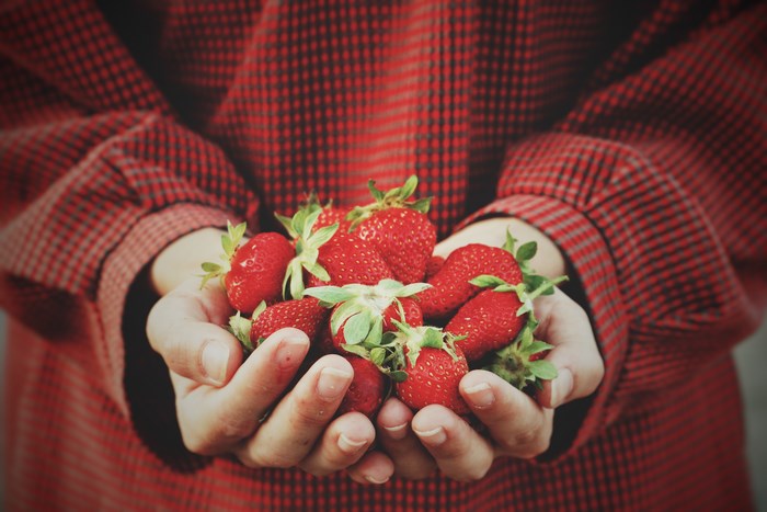 Hands holding fresh strawberries