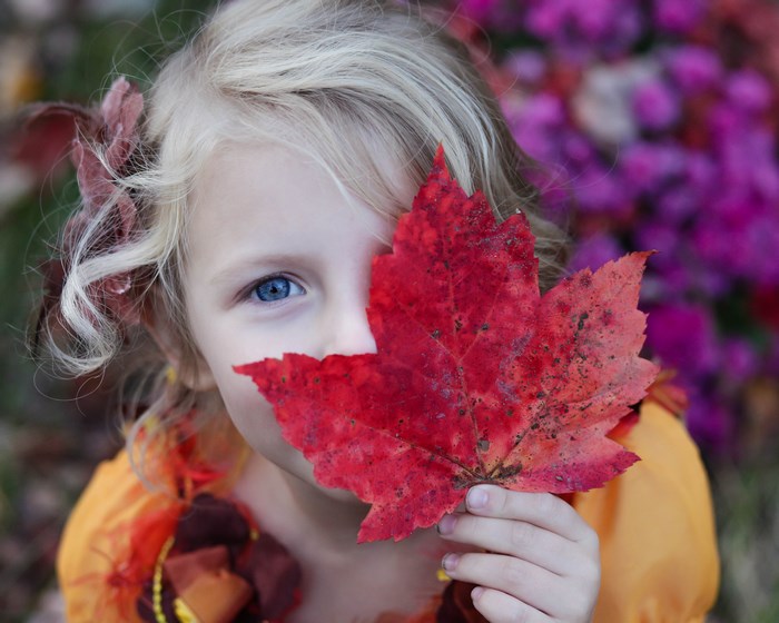 Blonde Girl Holding Red Autumn Leaf in Fall