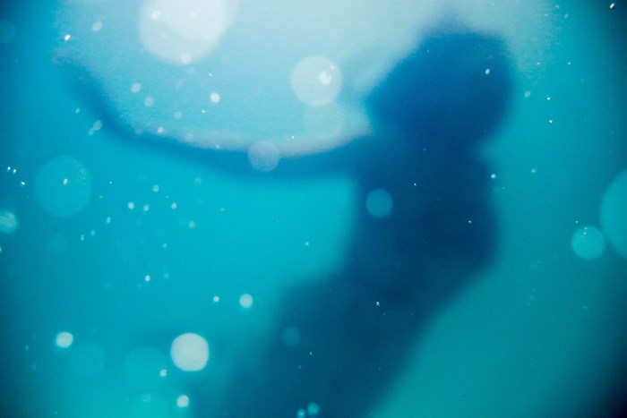 Silhouette of a woman underwater with bokeh