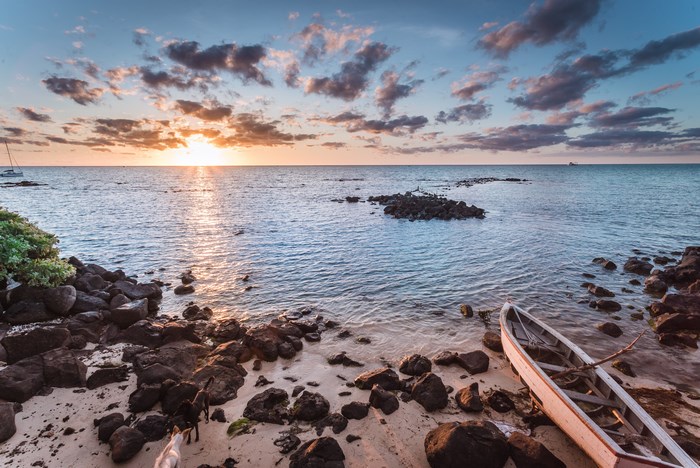 Dogs on a beach at sunset with a boat and ocean