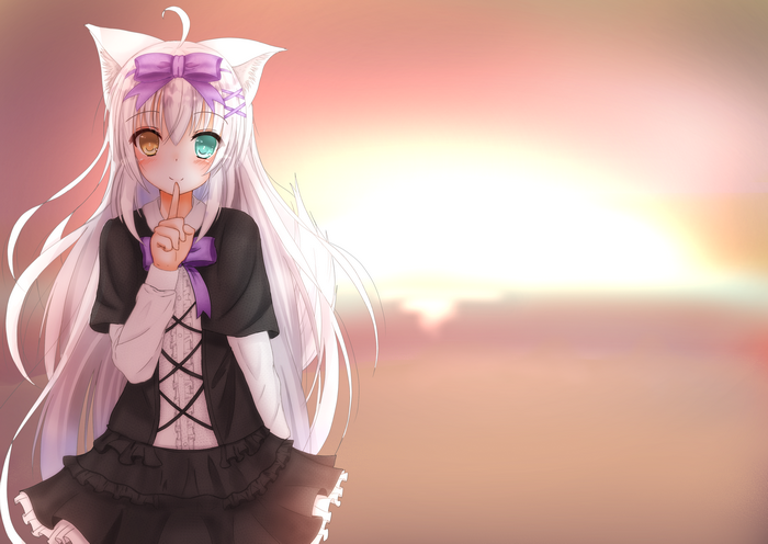 Cat Girl with Heterochromia and Purple Bow