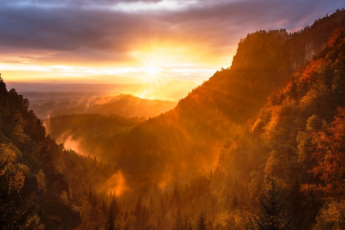 Sunset over Misty Forested Mountain Ridge