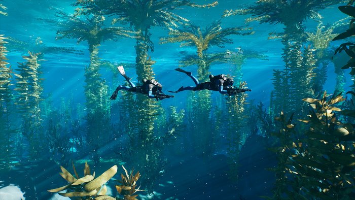 Two divers with rifles in kelp forest