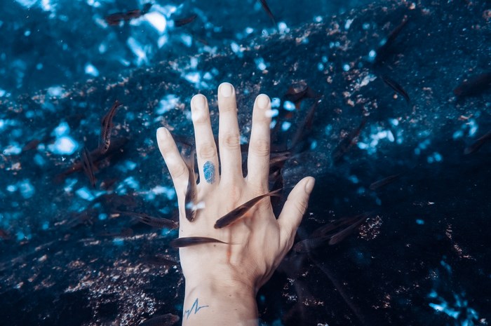 Hand with fish in blue water