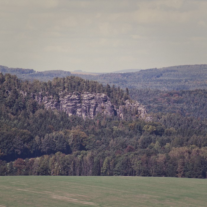 Mountain forest with rocky outcrops and a green field