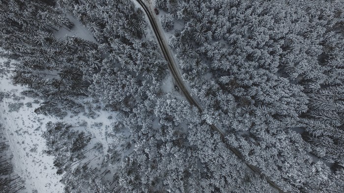 Aerial view of a snow-covered forest with a road