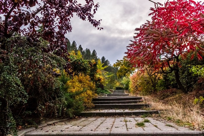 Stone steps ascend through a colorful autumn garden with red and yellow foliage.