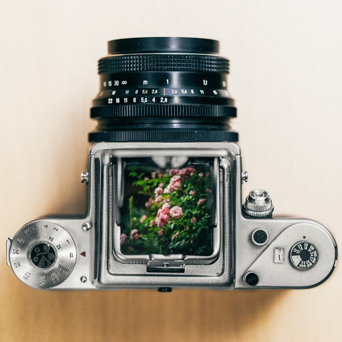 Pentax 6x7 medium format camera with roses in viewfinder
