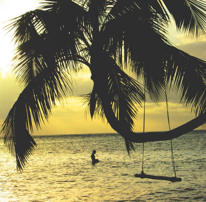 Silhouette of a person meditating in the ocean near a palm tree swing