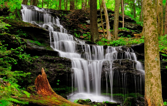 Waterfall cascading over mossy rocks in a forest