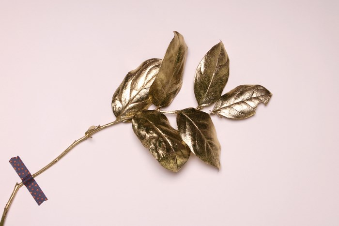 Golden branch with leaves taped to a surface
