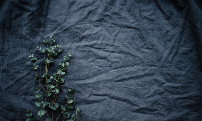 Green eucalyptus leaves on dark fabric