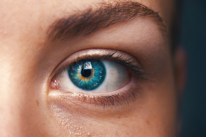 Close-up of a blue and orange eye with eyebrow
