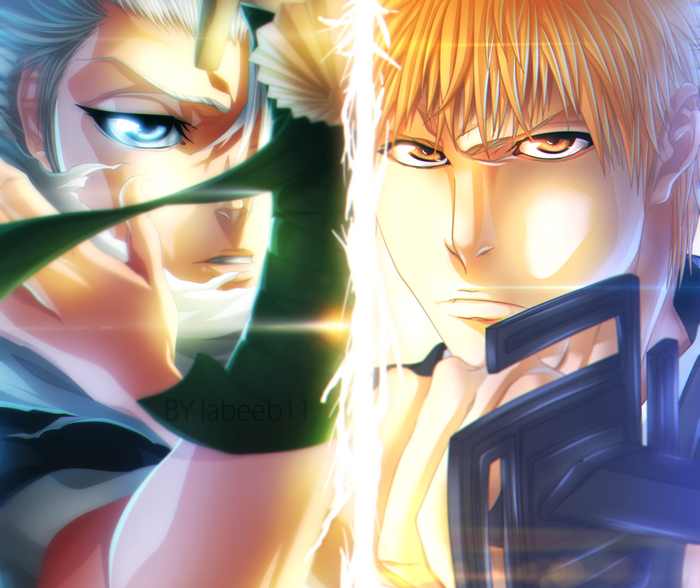 Tōshirō Hitsugaya and Ichigo Kurosaki from Bleach