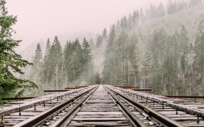 Railroad bridge through a foggy forest