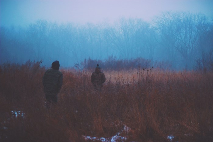 Two people walk through a foggy marsh at dusk