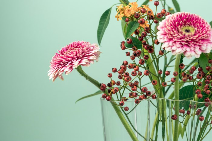 Pink Gerbera Daisies and Berries in a Vase