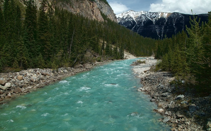 Turquoise river flowing through a forest with mountains