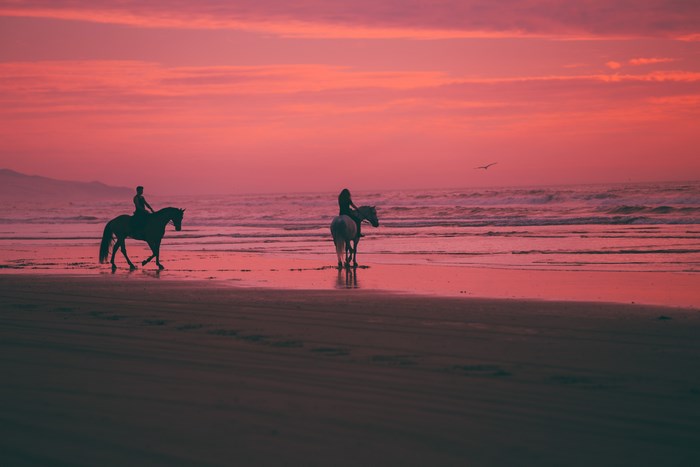 Two people riding horses on a beach at sunset