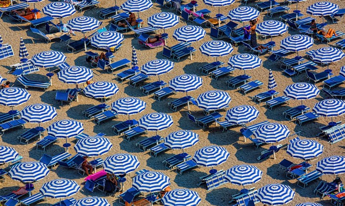 Beach umbrellas and lounge chairs on a sandy beach