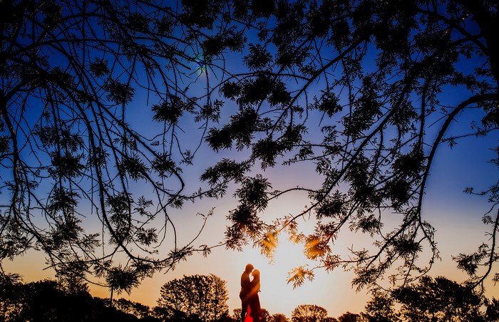 Couple silhouetted against sunset under tree branches
