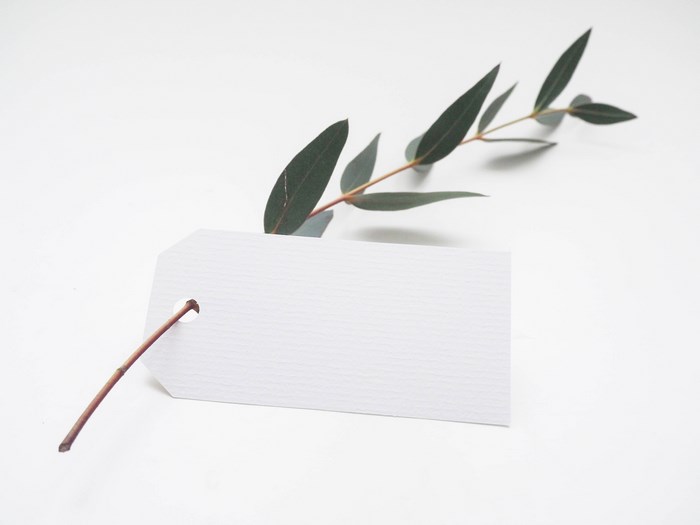 Blank tag with eucalyptus branch on white background