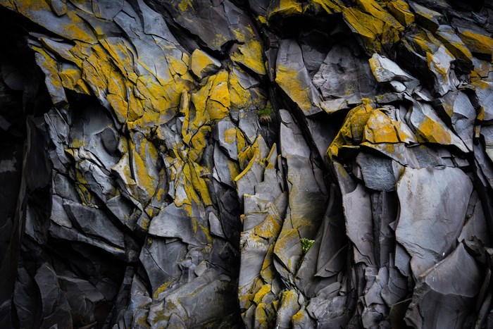 Gray and yellow moss on rock formation in Iceland