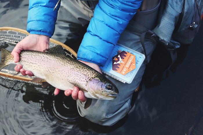 Fisherman holding a rainbow trout with a net and tackle box