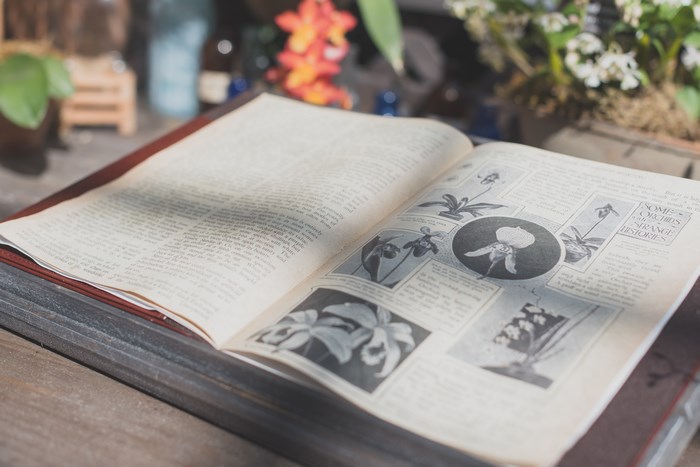 Open Book with Orchid Illustrations