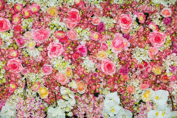 Wall of Pink and White Roses and Flowers