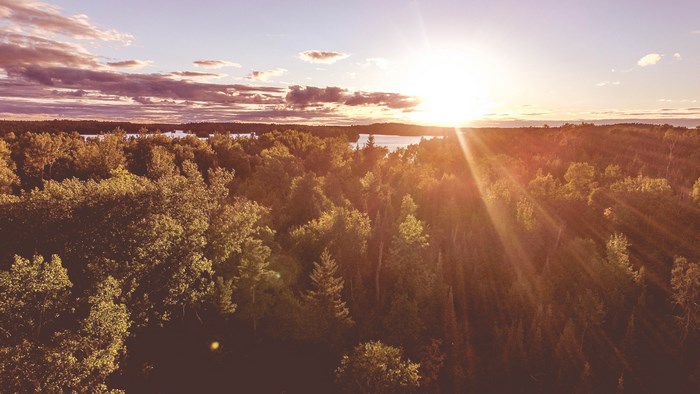 Aerial view of forest and lake at sunset
