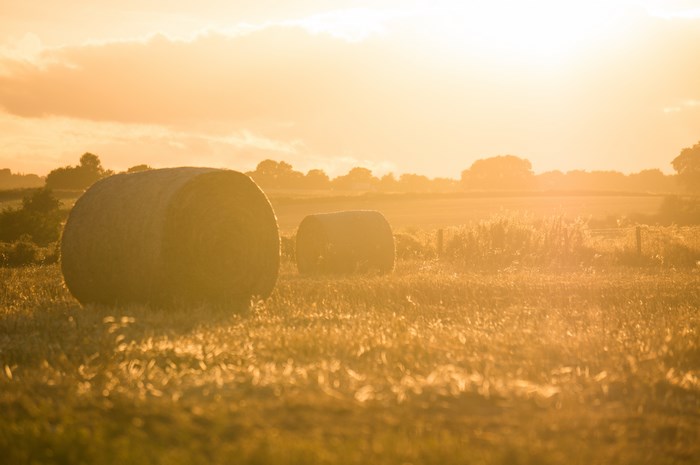 Golden sunset over a field with hay bales in England