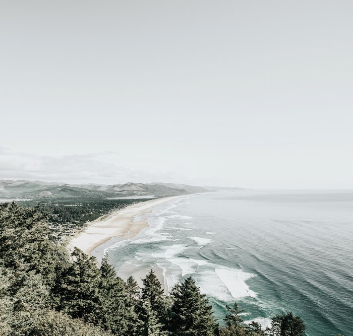 Ocean waves crash on a sandy beach with evergreen trees
