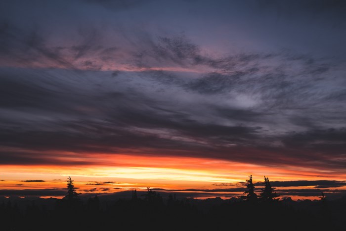 Silhouette of trees against a dramatic sunset sky