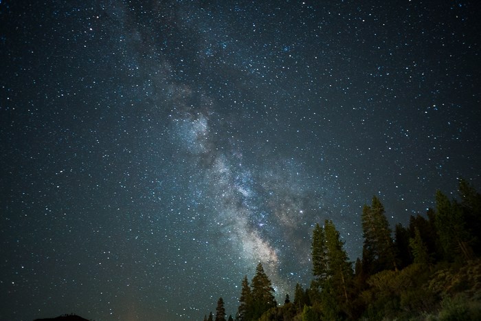 Milky Way galaxy over a forest at night