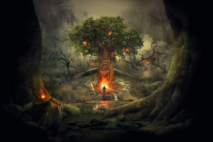 Fantasy forest with a man entering a glowing tree