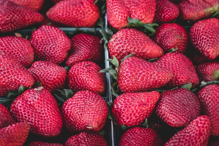 Fresh Organic Strawberries in Containers